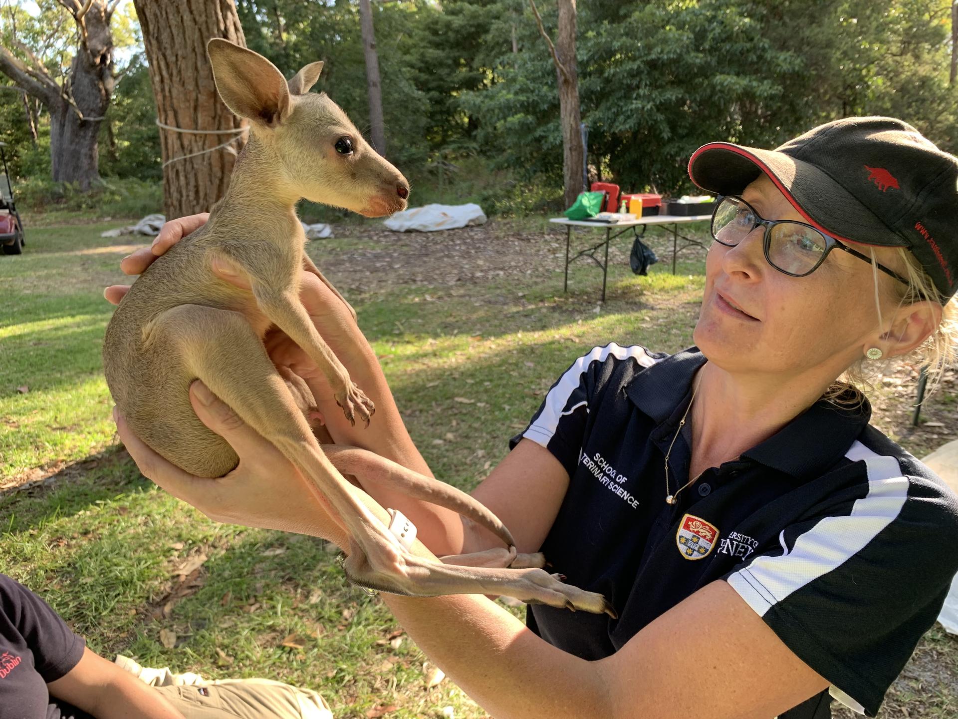 photo of Cath Herbert holding a kangaroo
