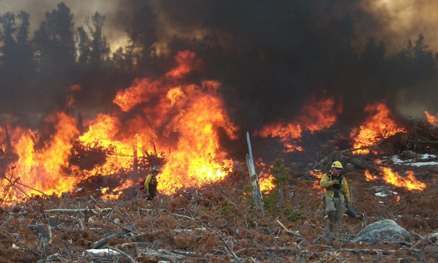 photo of a firefighter in front of a forest fire