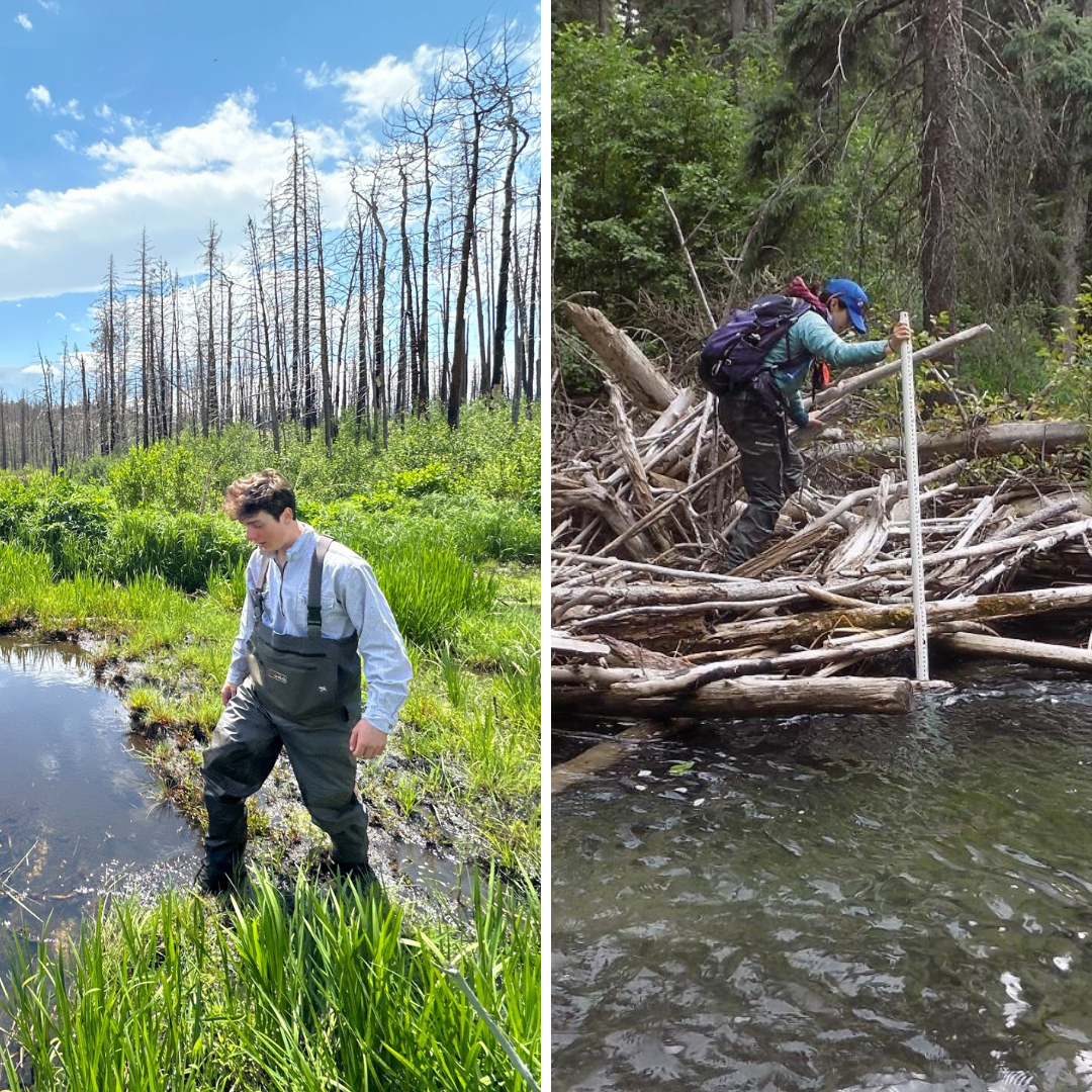 photo of Owen Richardson wading in water and Shayla Triantafillou walking on fallen logs