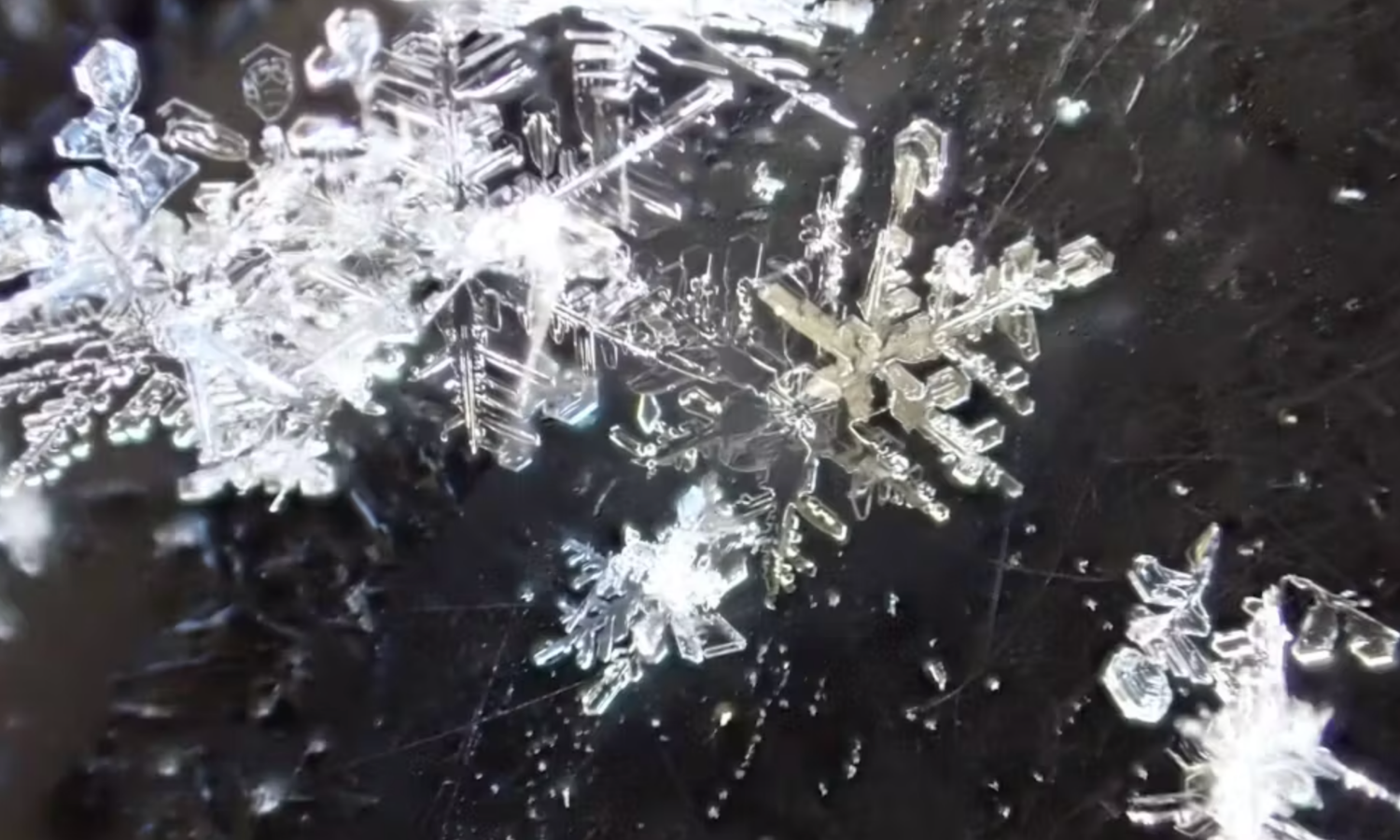 a close-up view of snowflakes