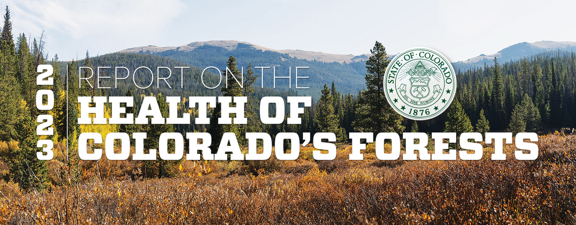 graphic for the report on the Health of Colorado's Forests