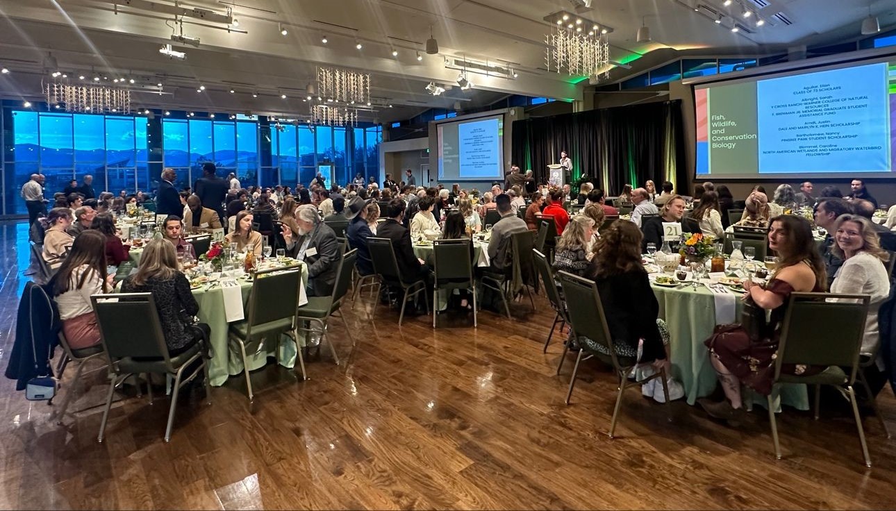 photo of people sitting at tables at the scholarship dinner