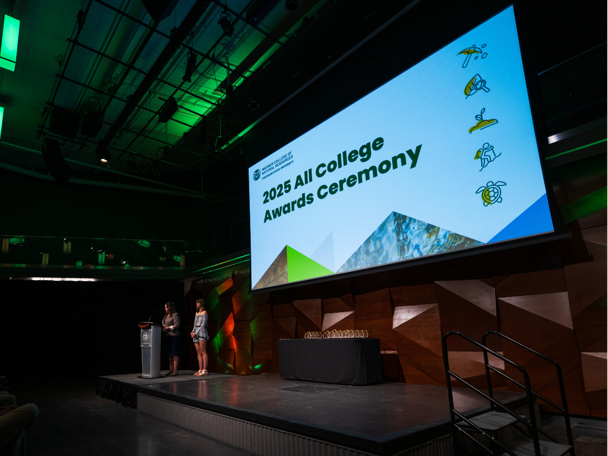 photo of a projector screen at the all college awards ceremony