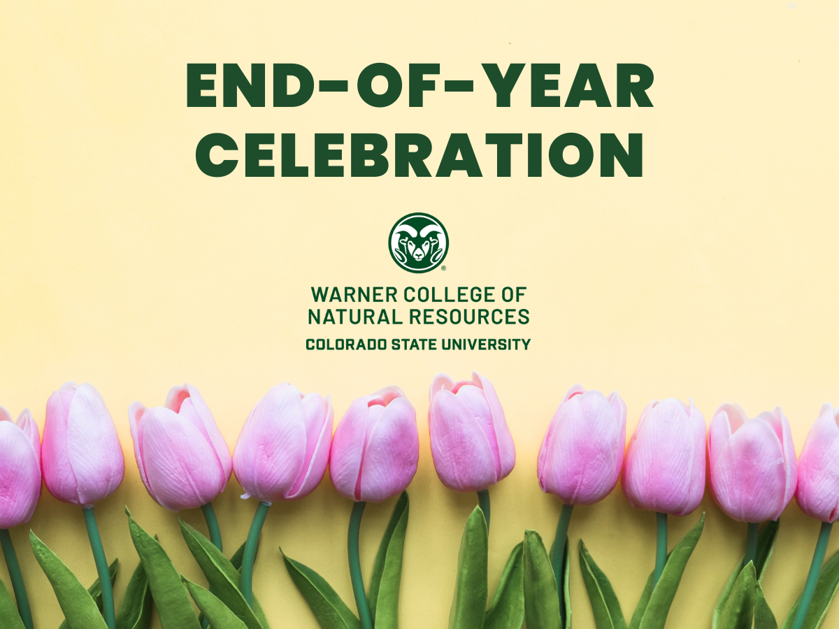 a photo of pink tulips on a yellow background with the words ''end-of-year celebration''