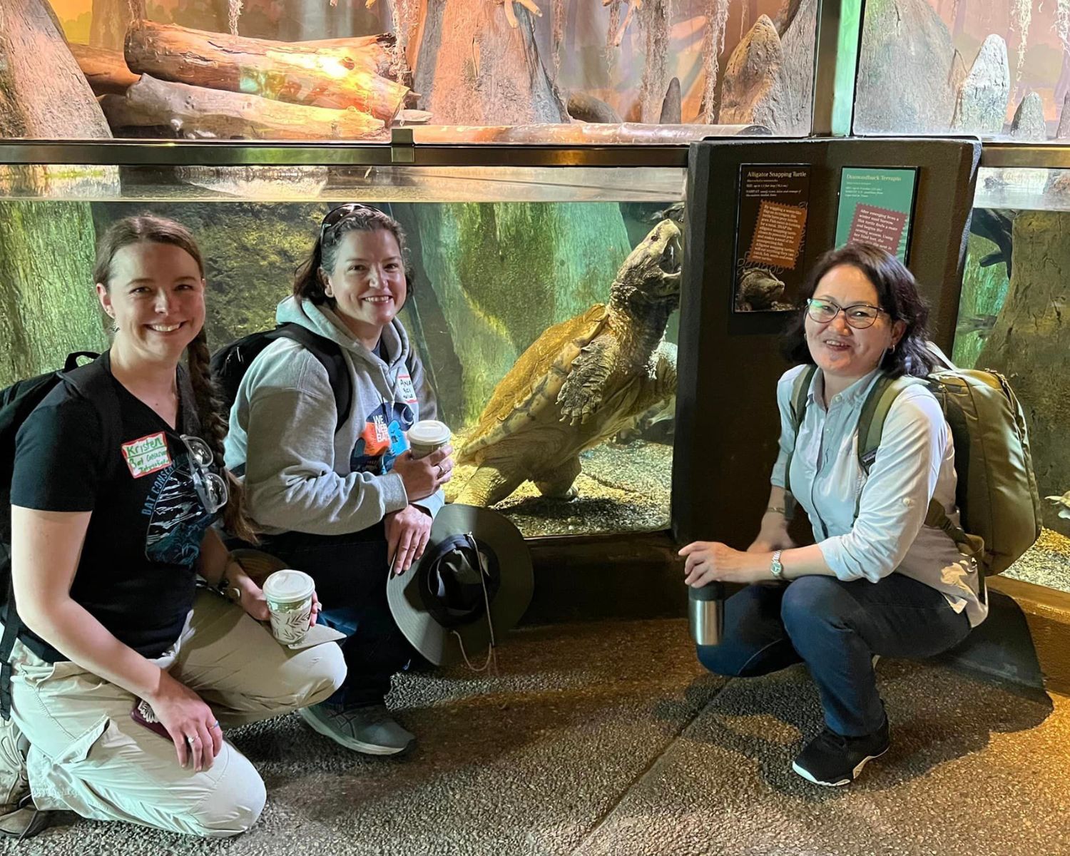 three people pose in front of a sea turtle that is behind glass