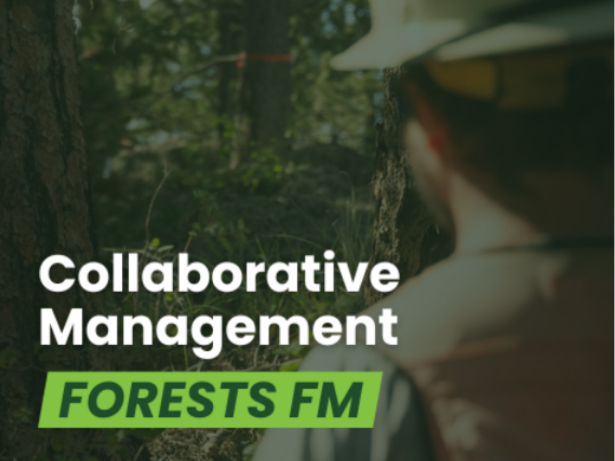 A graphic with the words ''Collaborative Management, Forests FM''