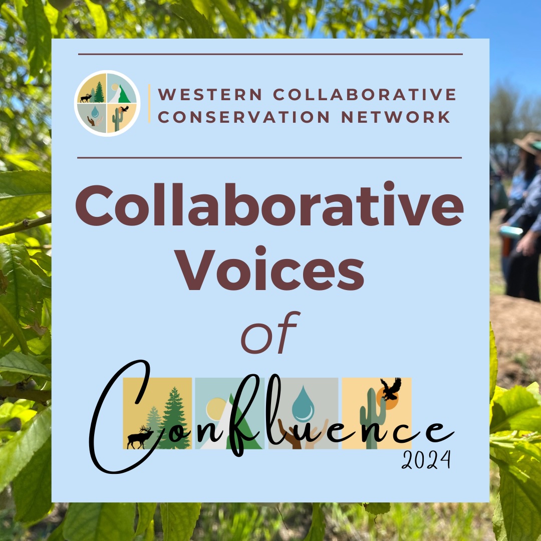 Graphic with the words ''WCCN Collaborative Voices of Confluence 2024''