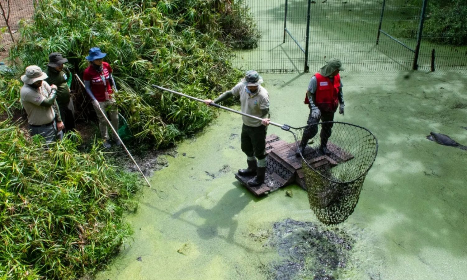 five people using a giant net in the water