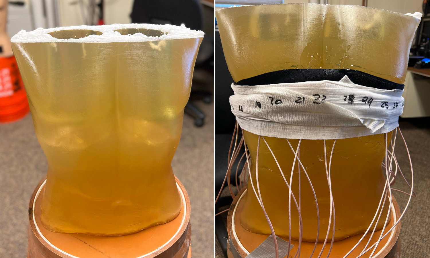 Two torsos made out of ballistic gel to test a medical ultrasound imaging technique.