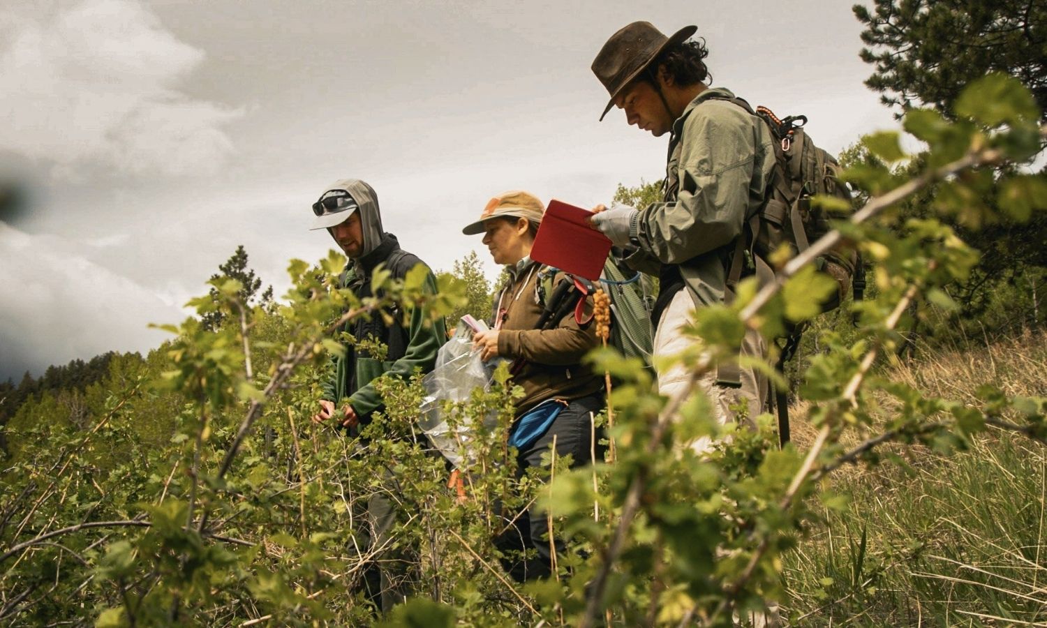 three people standing in a field with various plants