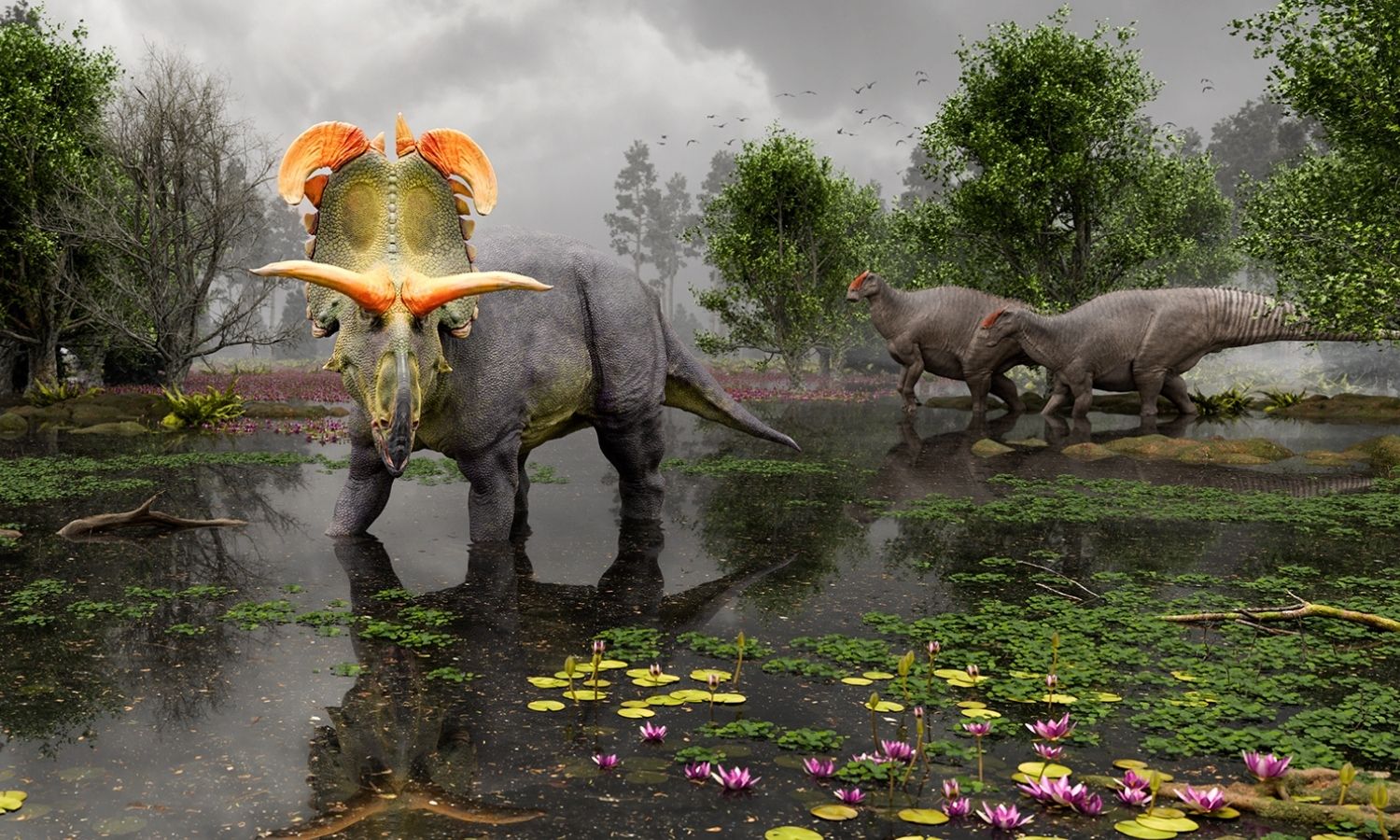 art rendering of the dinosaur, Lokiceratops, and two other dinosaurs in the background