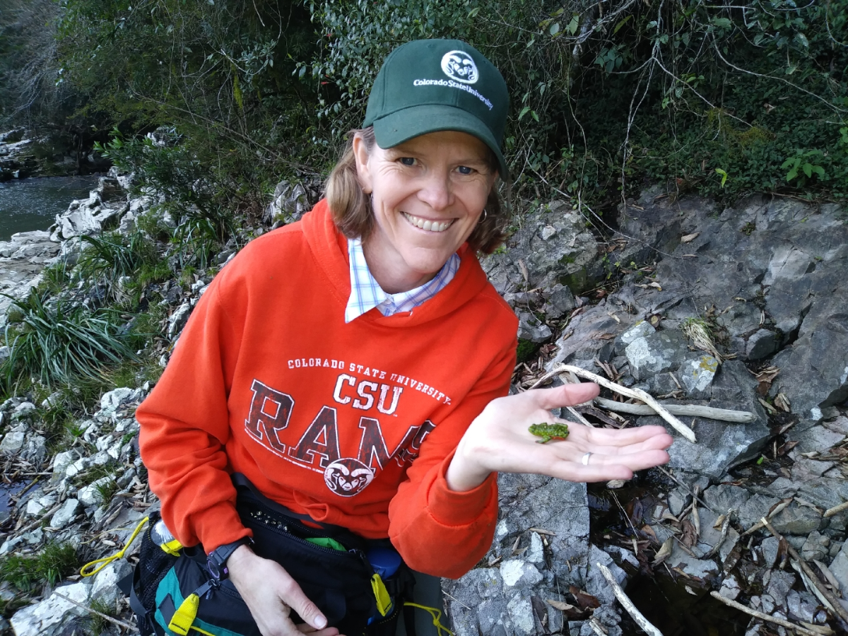 Larissa Bailey hold a small green frog. 