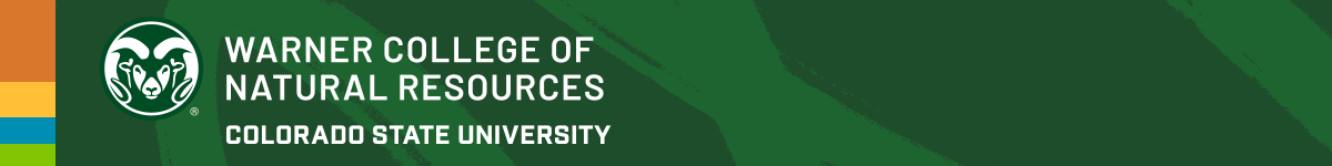 Decorative background with the WCNR Logo