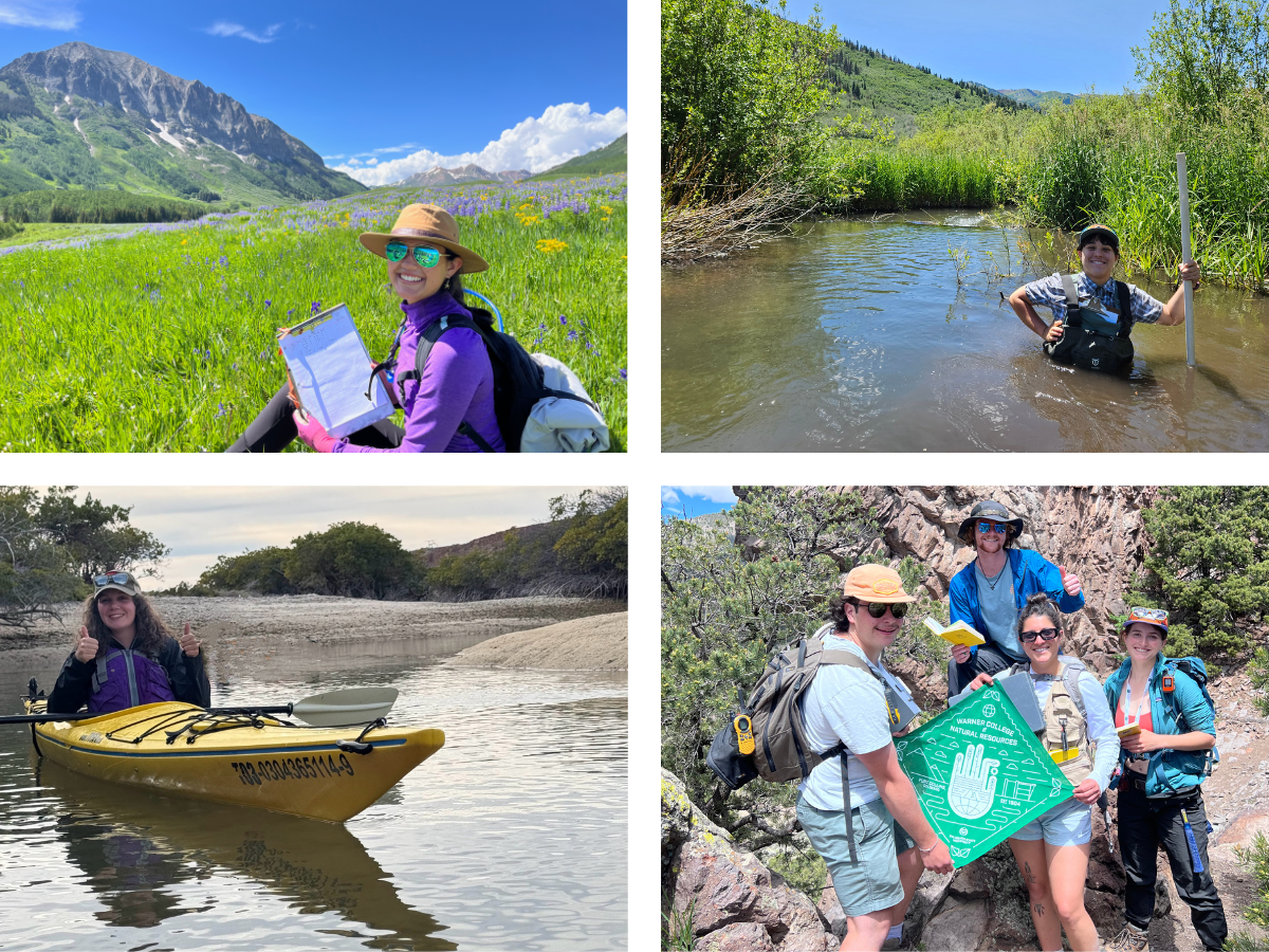 A collage of four photos featuring students working at outdoor internships. 