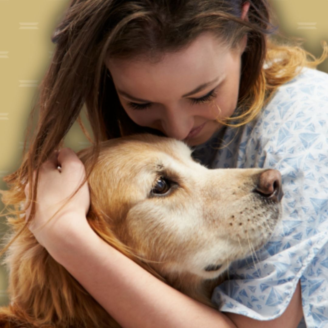 A person hugs a golden retriever. 