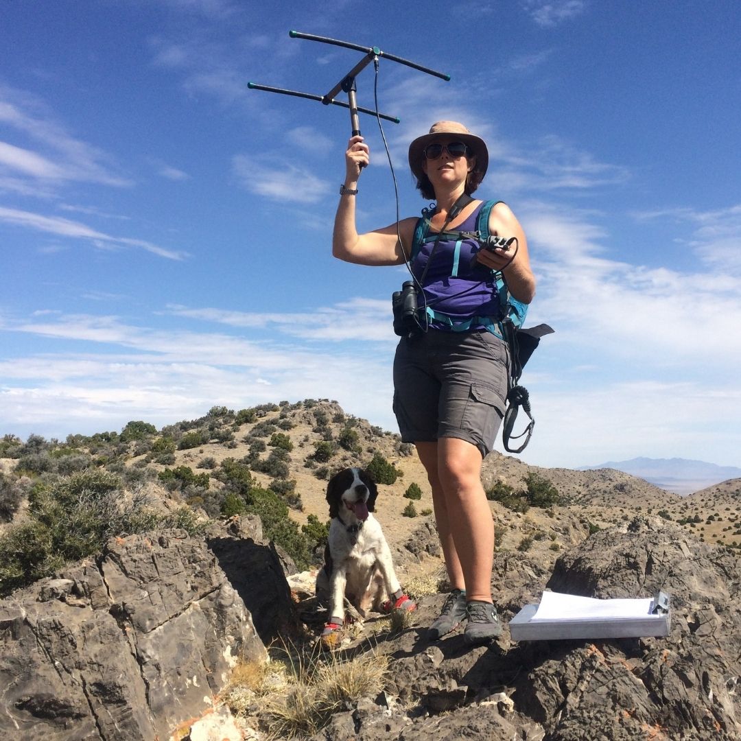 Sarah King conducting research outside in Utah with her dog. 