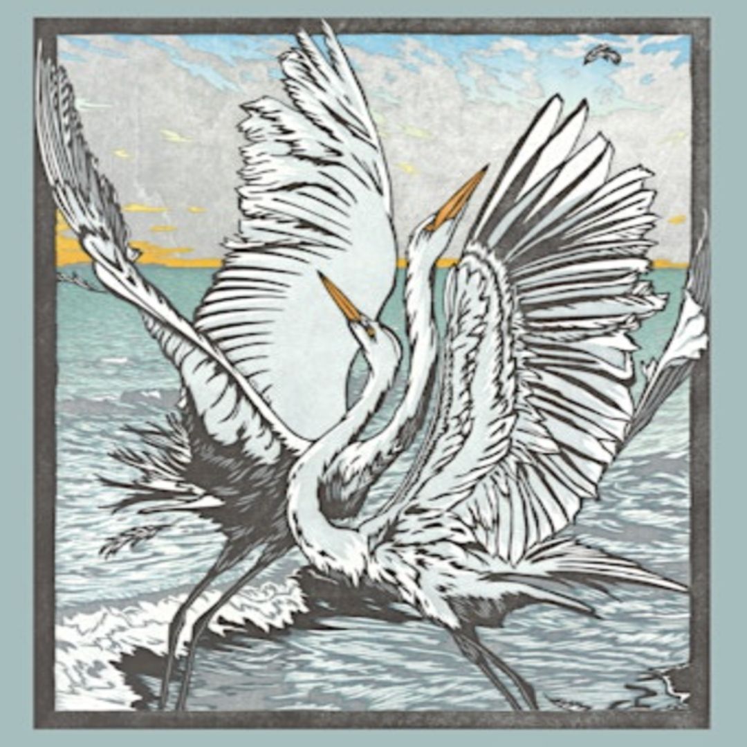 A graphic of two birds spreading their wings with ocean waves in the background.