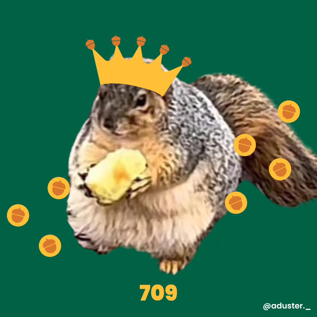 Photo of the winner of 709, that squirrel that won Warner College's Fat Squirrel Week