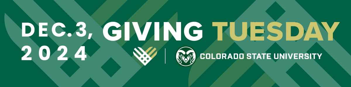 Giving Tuesday graphic 