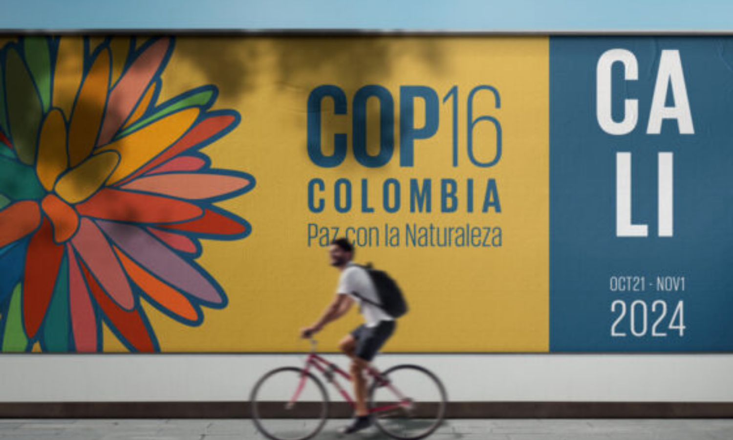 photo of a person riding a bike in front of the COP16 Columbia wall