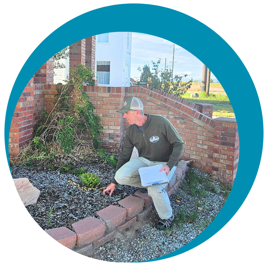 photo of Adam Moore sitting on a rock ledge looking at a garden