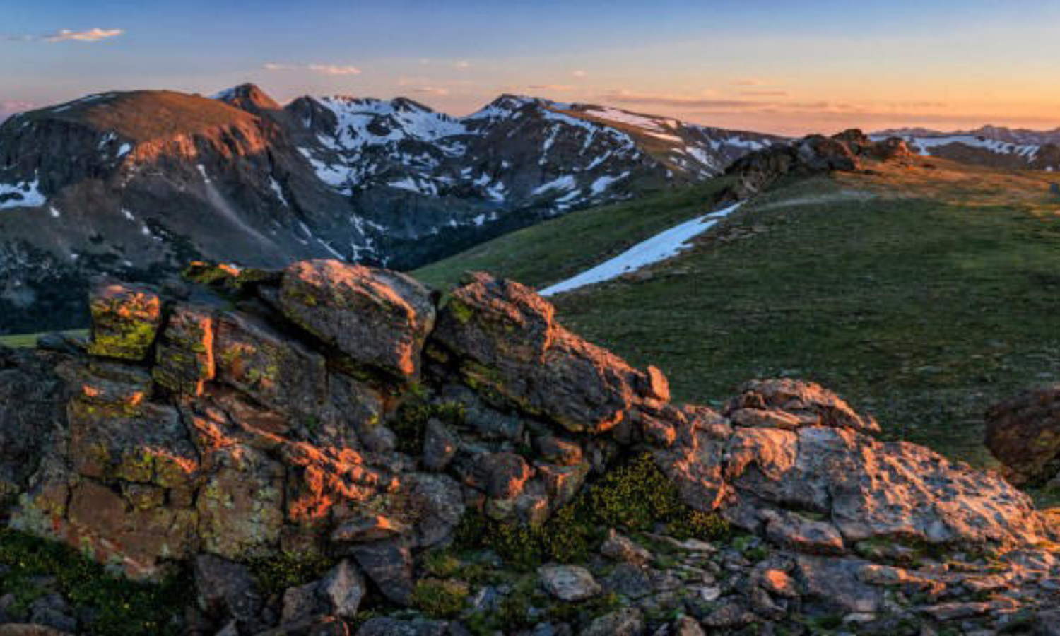 photo of rocks growing algae 