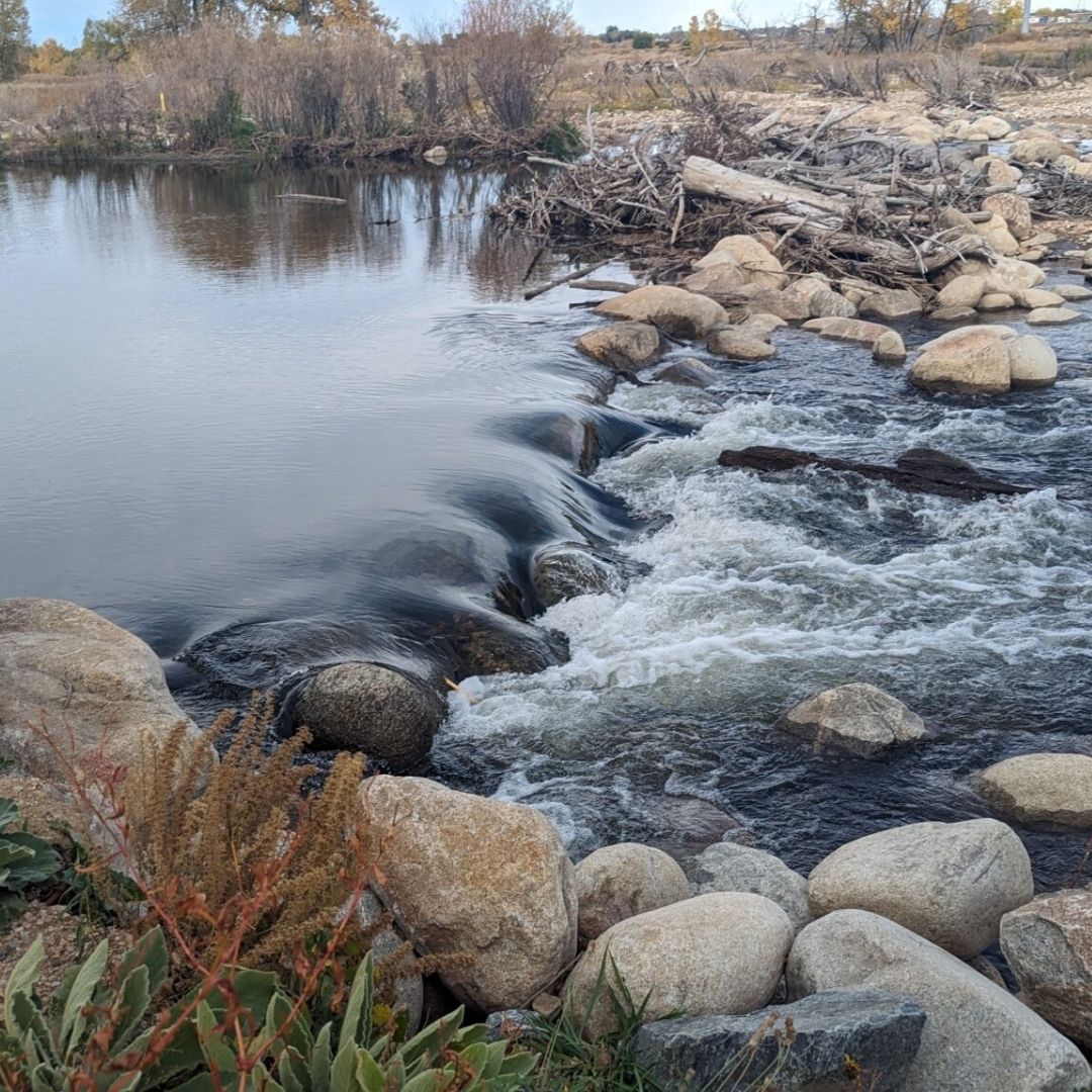 Water runs over rocks in the Cache la Poudre River