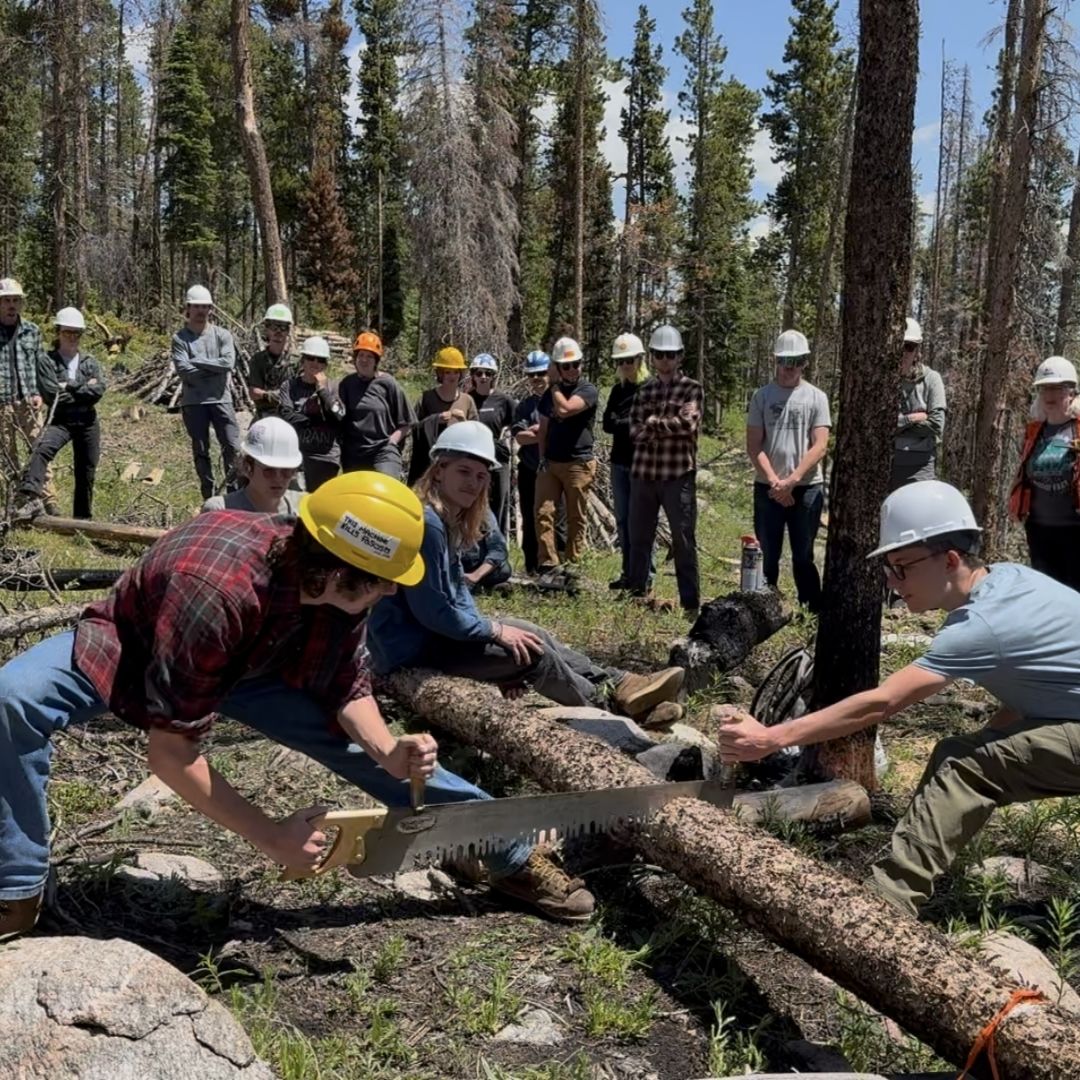 Two people work together to saw a log in half while students look on. 