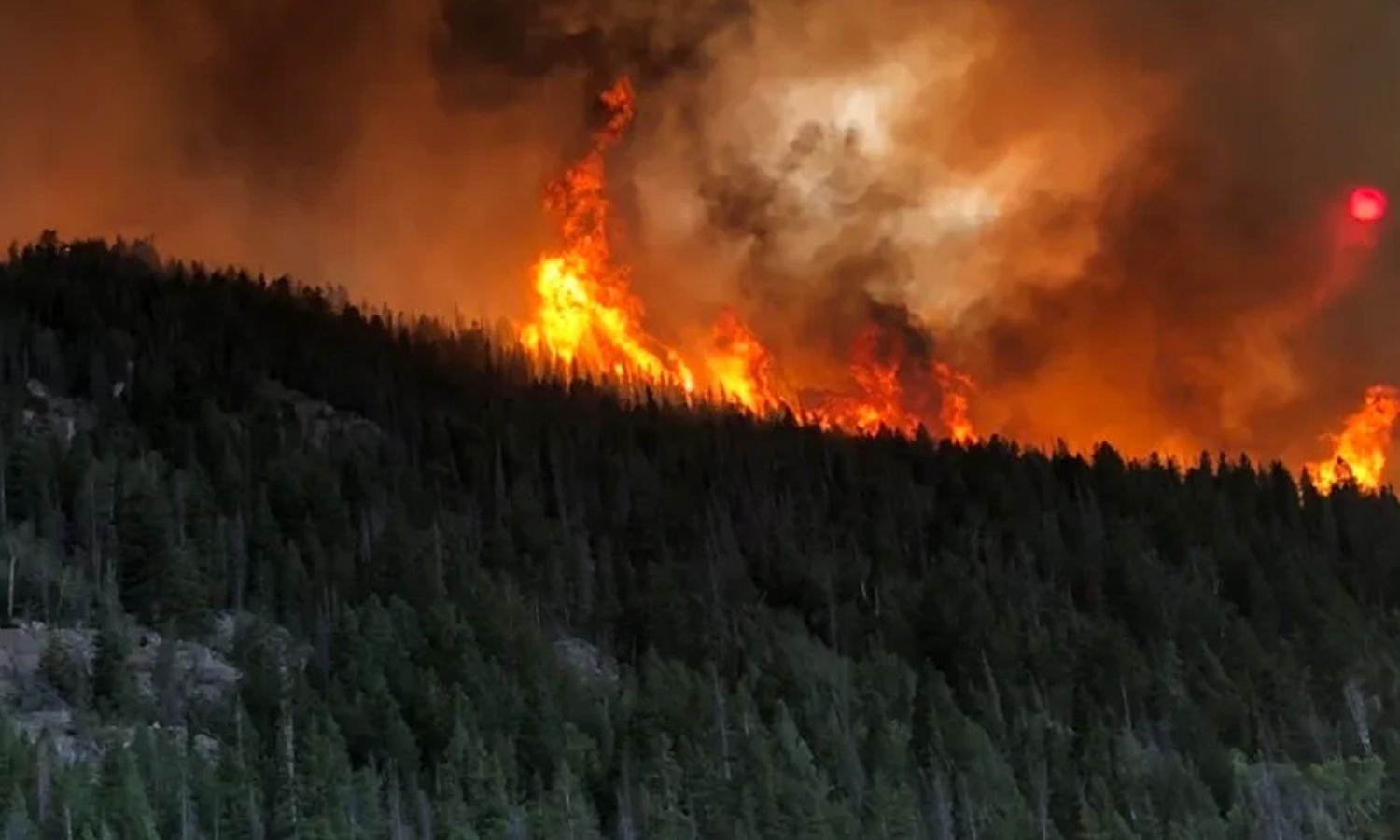 Photo of fire burning trees on a mountain