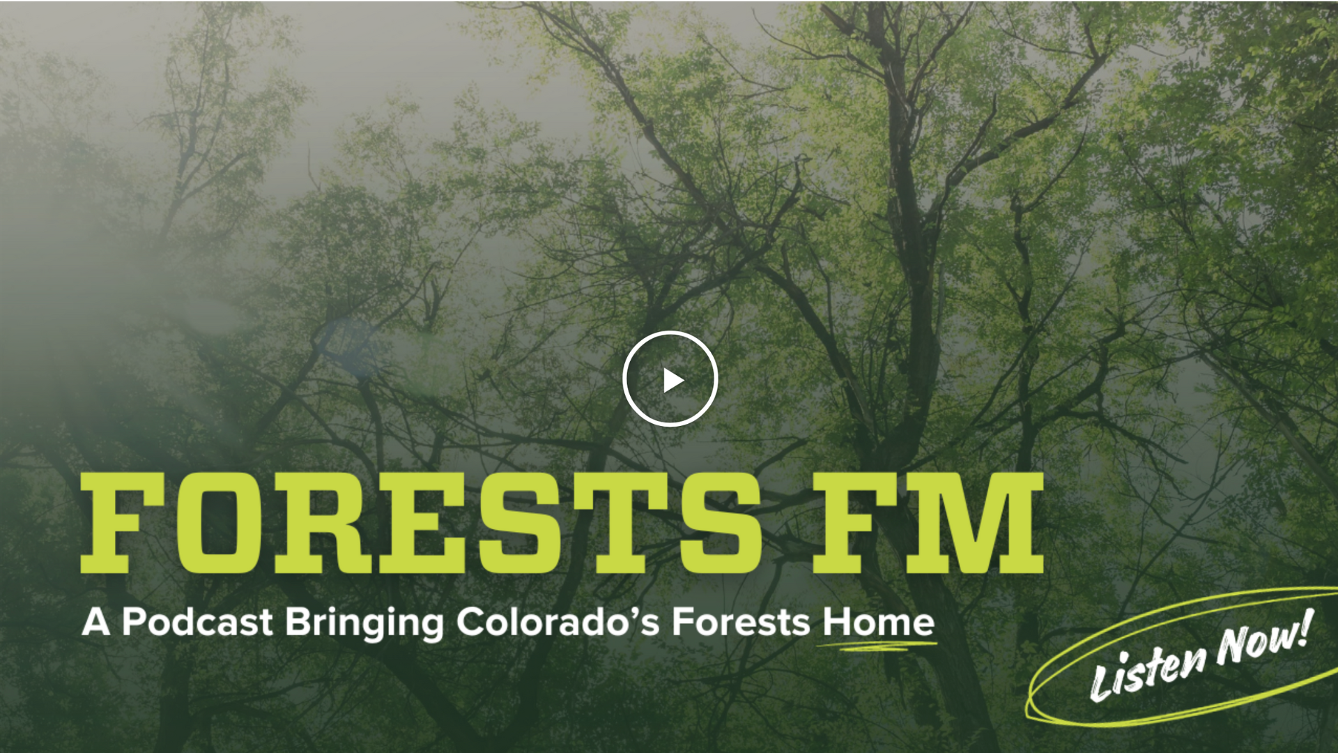 forests FM graphic