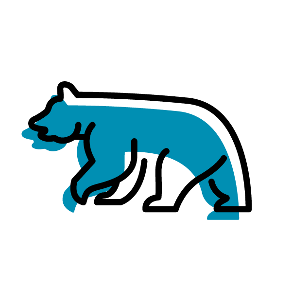 Icon of a bear. 