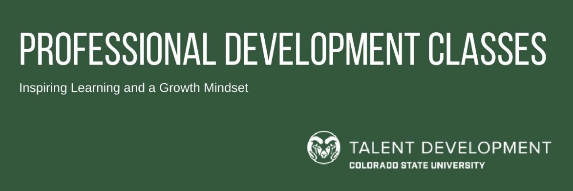 Professional Development Classes logo