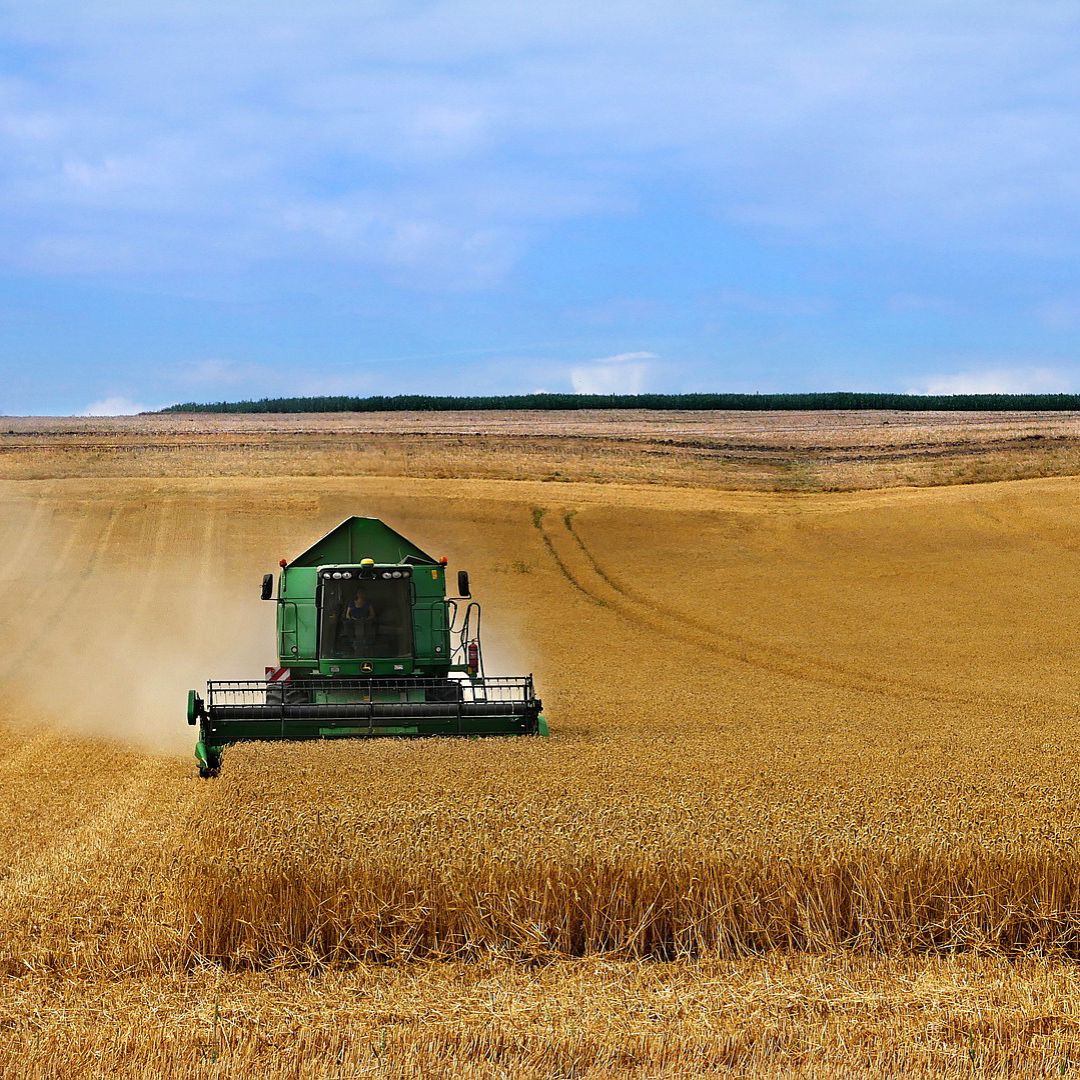 A farming vehicle plows a field. 