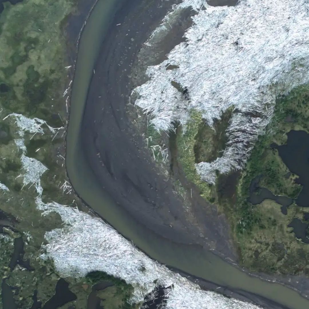 Trees floating towards the Arctic Ocean 