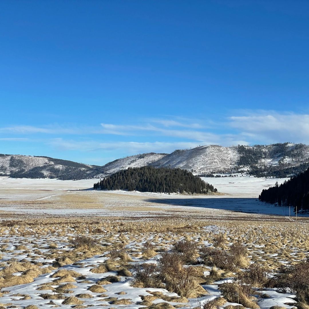 A snowy plain with blue skies in the background