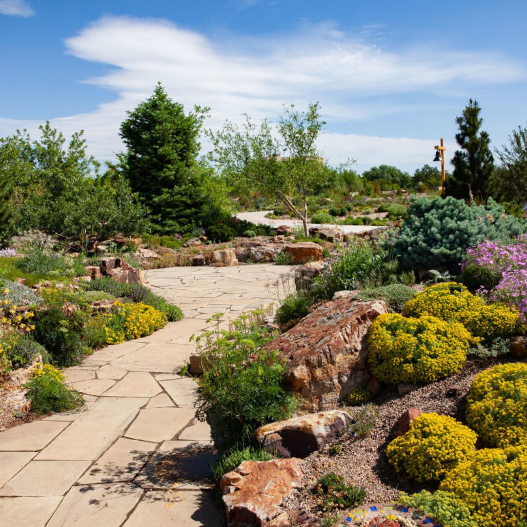 A path through a garden. 