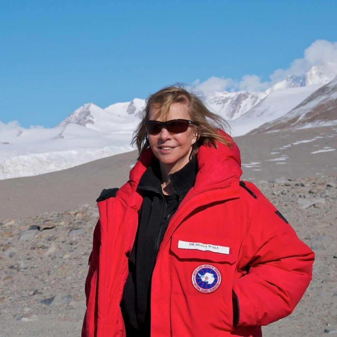 Diana Wall stands on a mountain side with snowy peaks in the background
