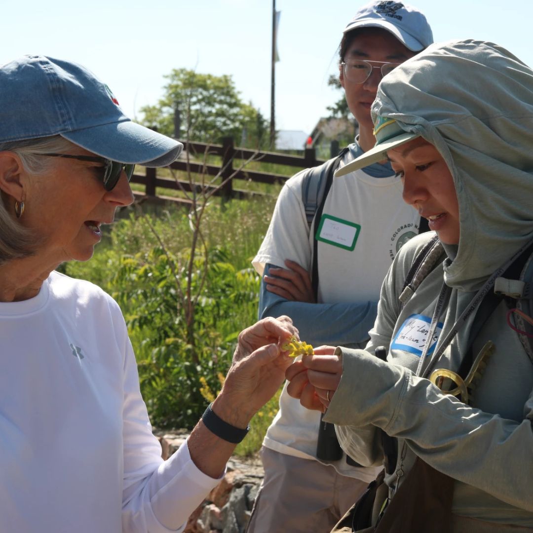 Two people examine a plant. 