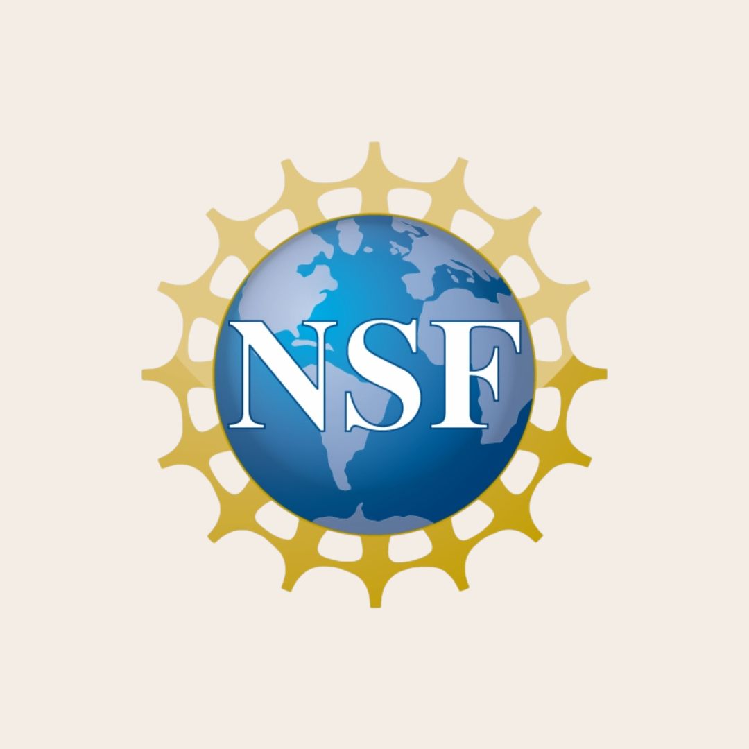 The National Science Foundation logo 