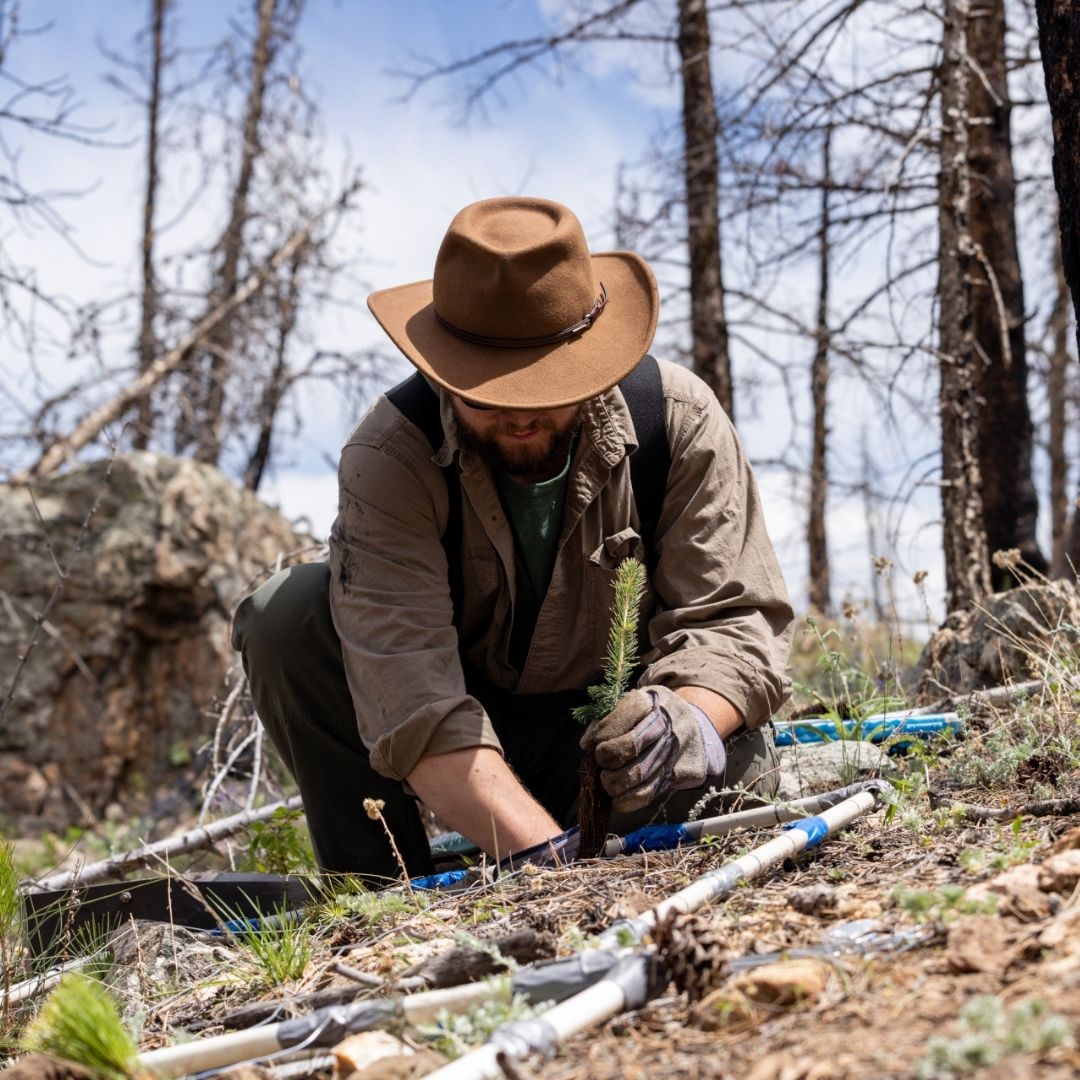 A student digs a hole in the forest