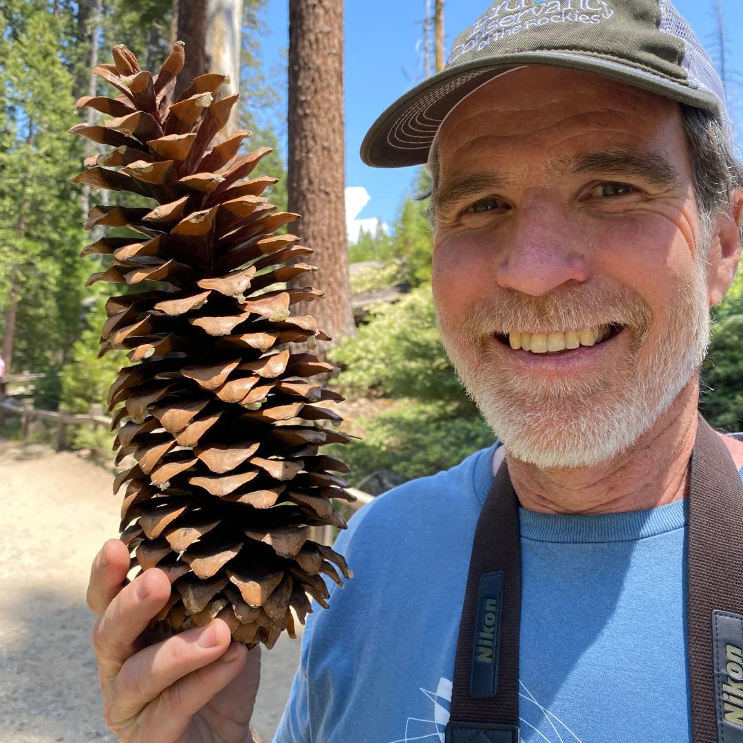 John Sanderson holds up a giant pinecone