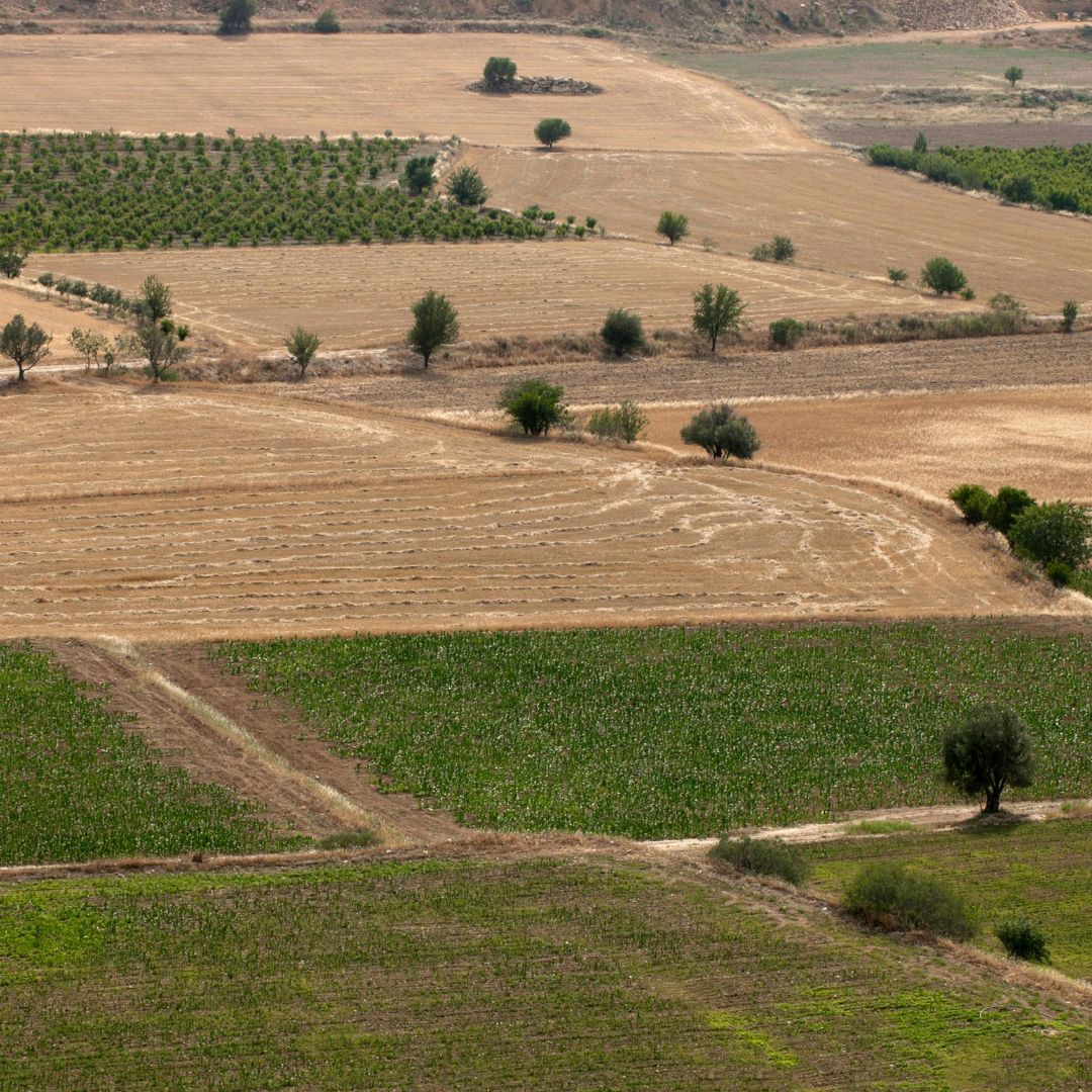 An aerial view of farm land. 