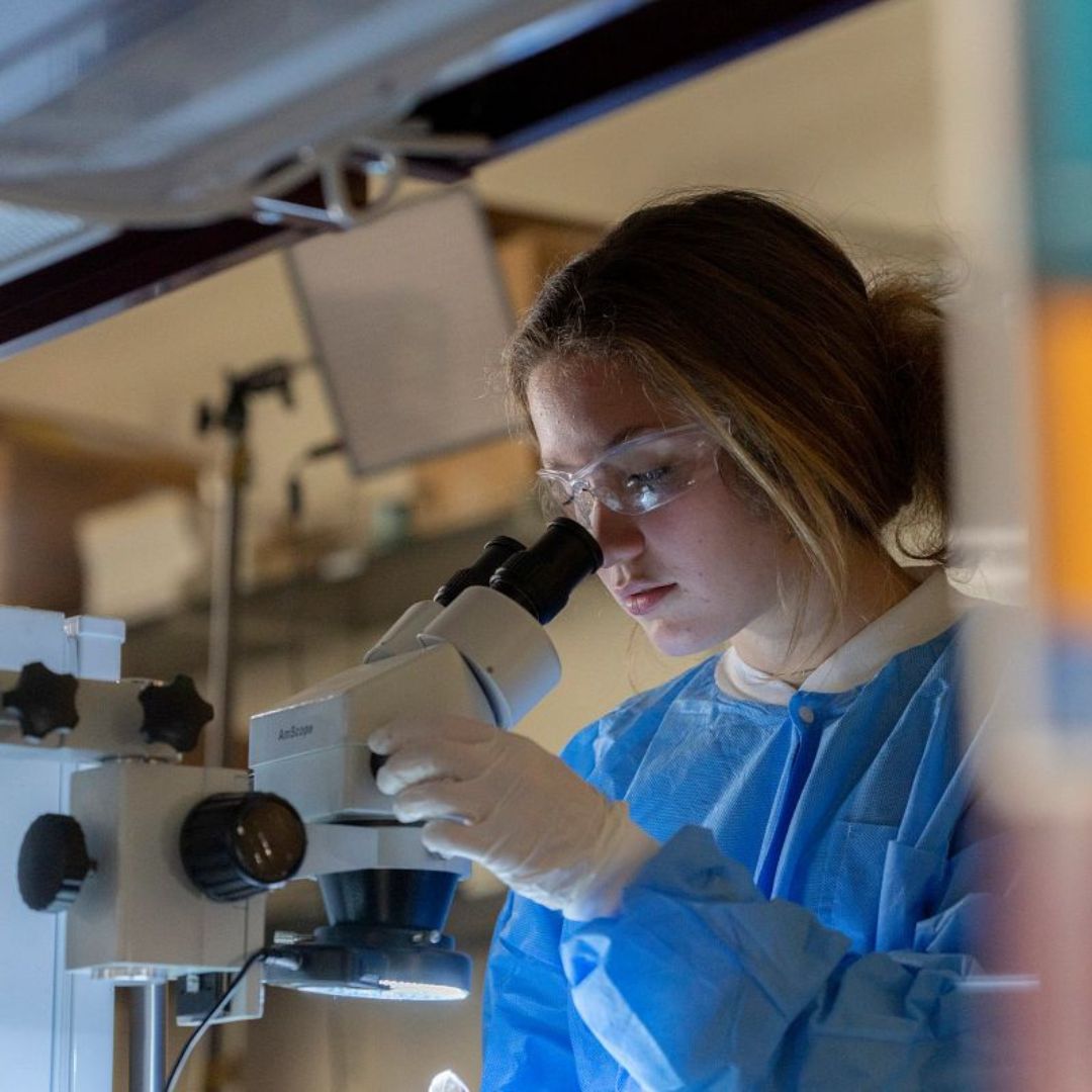 A student looks through a microscope