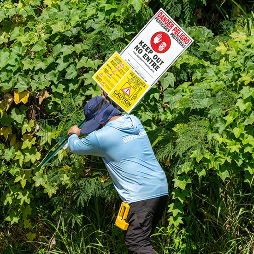 A person puts a sign in a wooded area. 