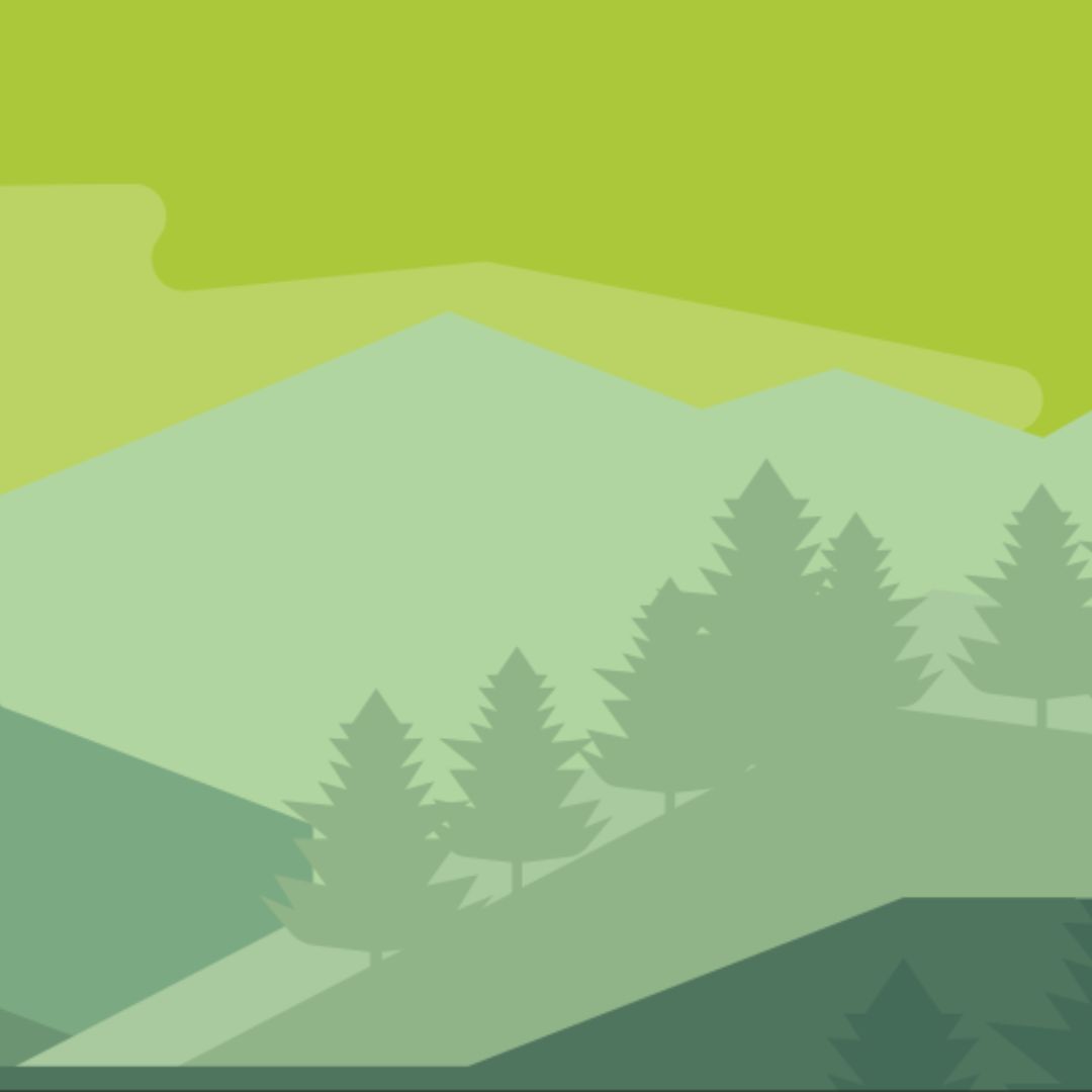 A graphic with pine trees and different shades of green in the background