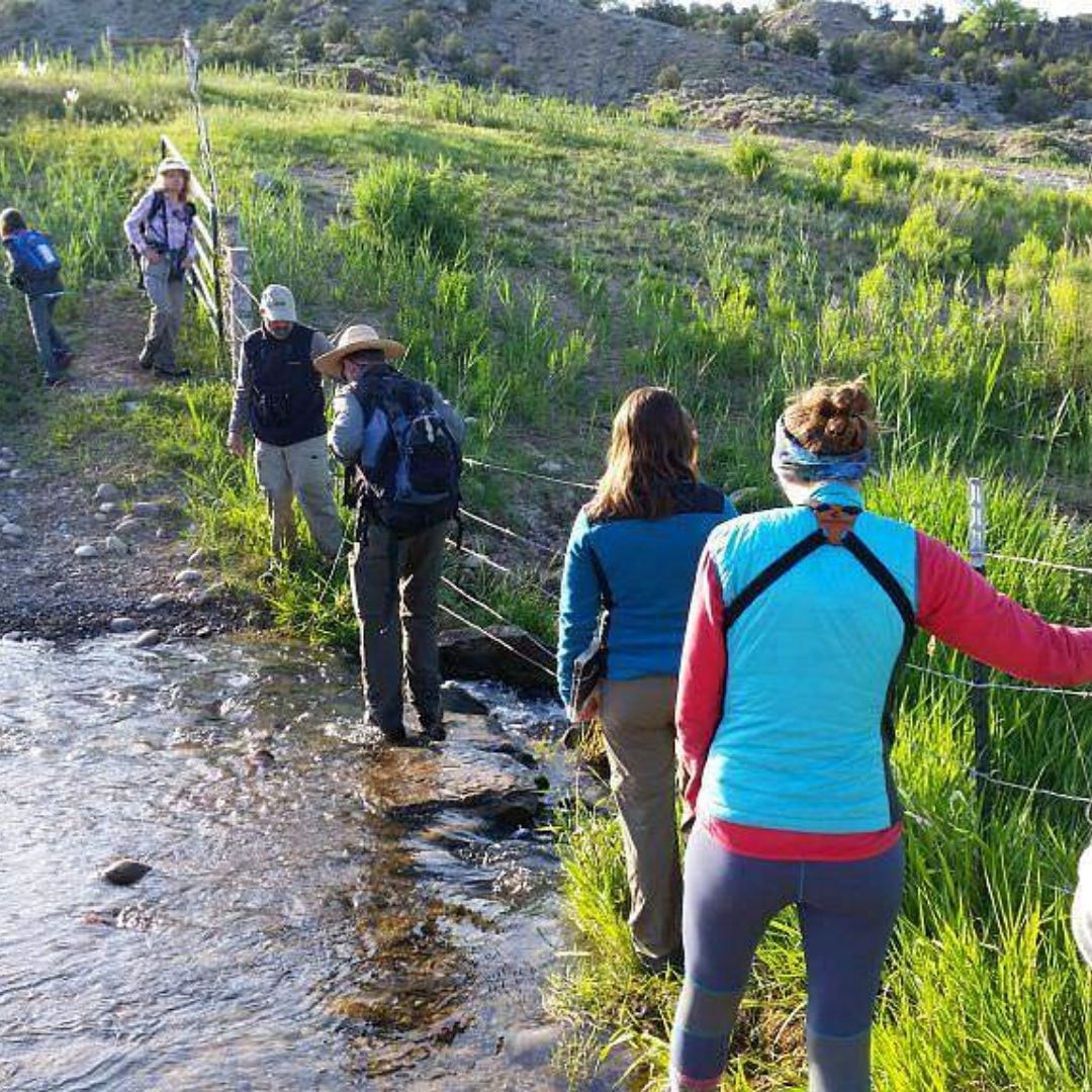 Students walk across a stream in the mountains. 