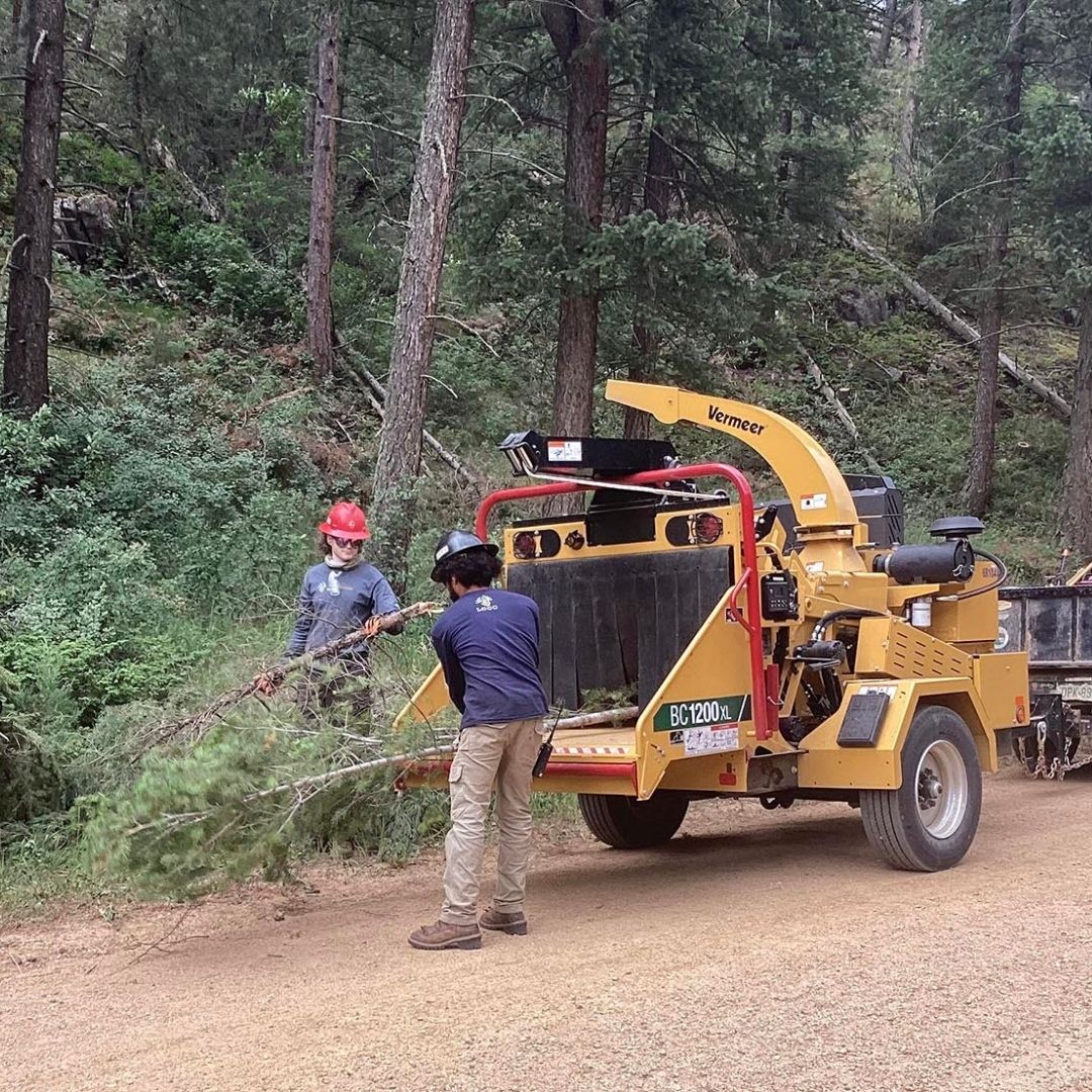 A worker pushes tree limbs into a wood chipper. 
