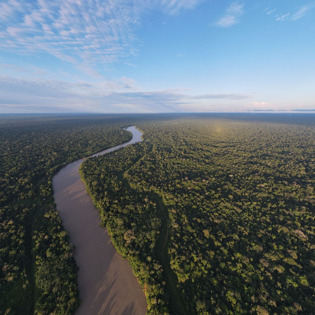 An aerial view of the Amazon rainforest 