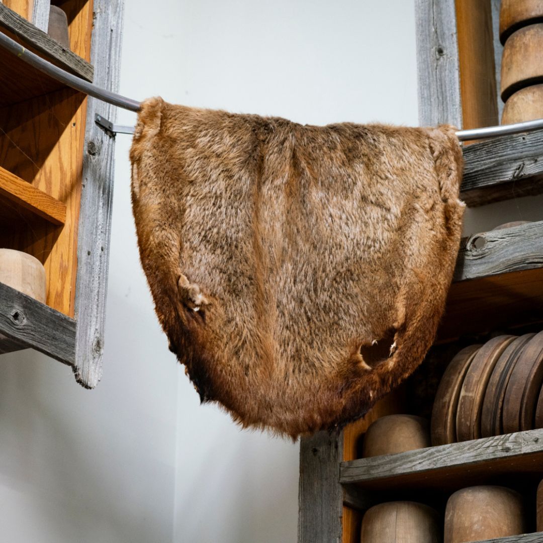 An animal fur hangs from a rope. 