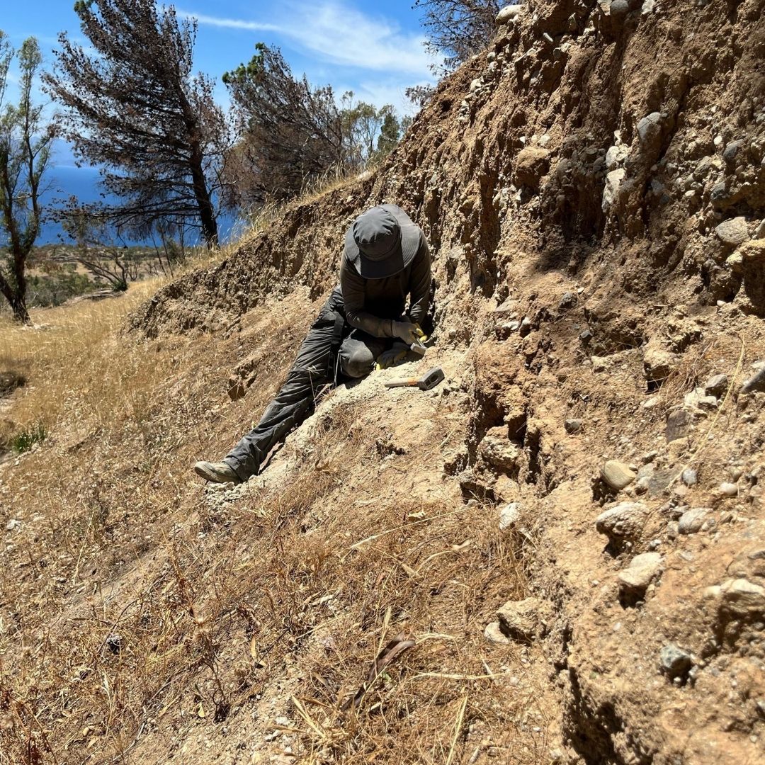 Photo of Ana Perez Hincapie 
